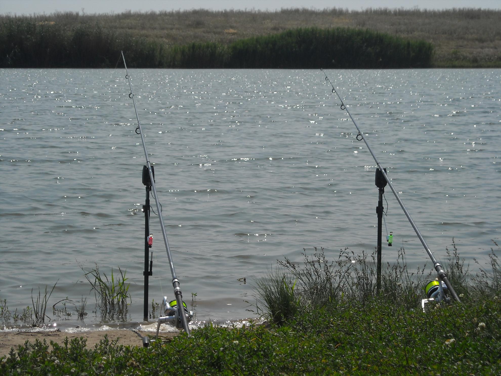 Cupa Romaniei - Hobaia 2010 - dscn6853.jpg